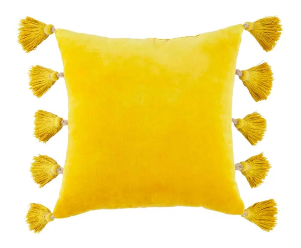 Velvet Tassel Pillows - Set of 2 - The Hive Experience
