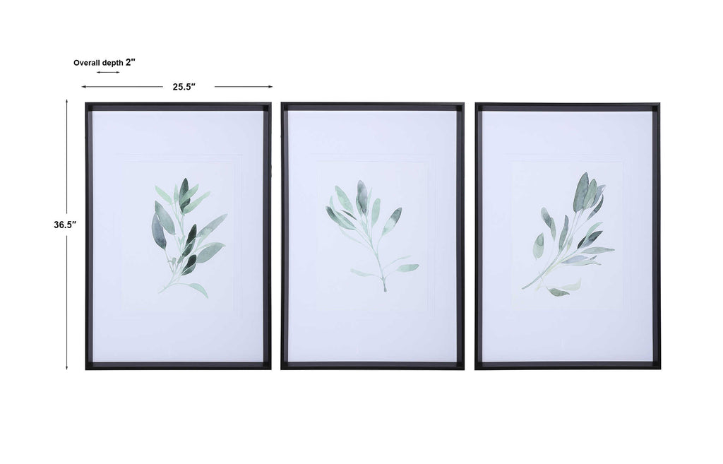 Simple Sage Framed Prints - Set of 3 - The Hive Experience