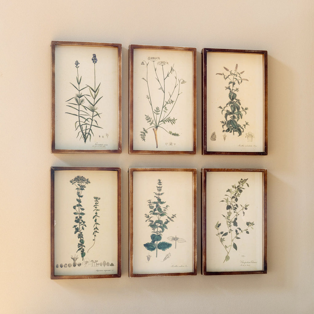 Collected Botanical Framed Prints, Set of 6 - The Hive Experience