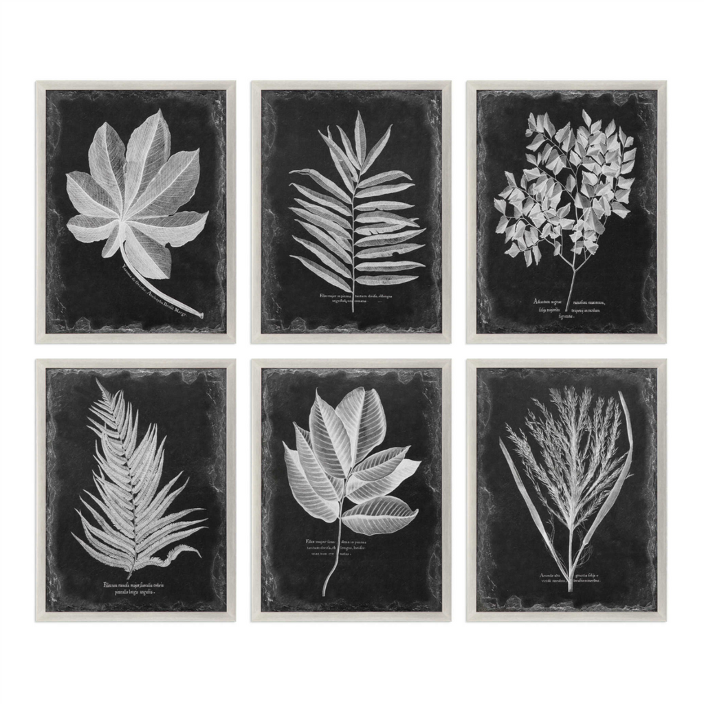 Foliage Framed Prints - Set of 6 - The Hive Experience