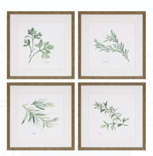 Herbs - Set of 4 - The Hive Experience